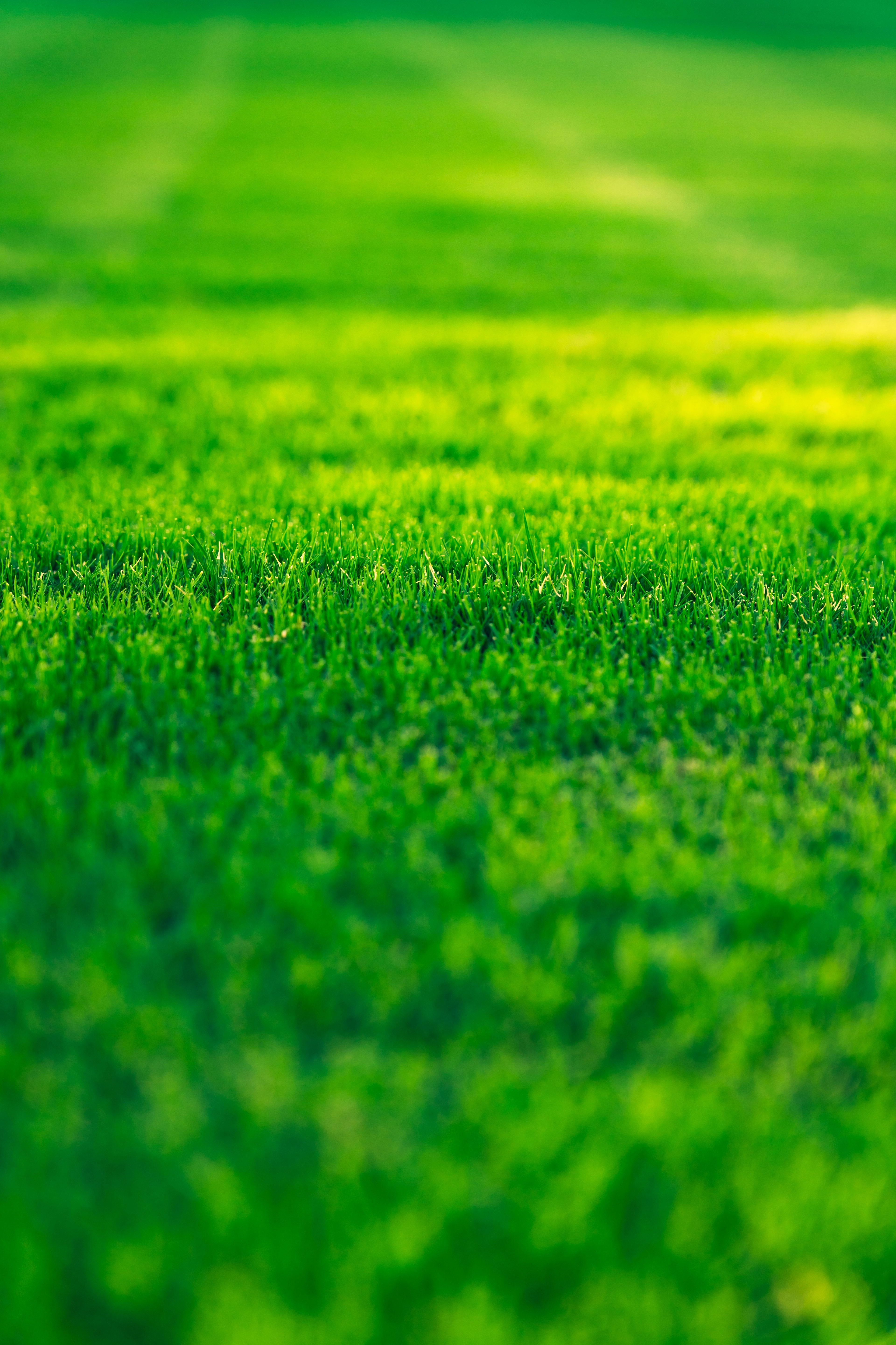 Lawn Care Fund